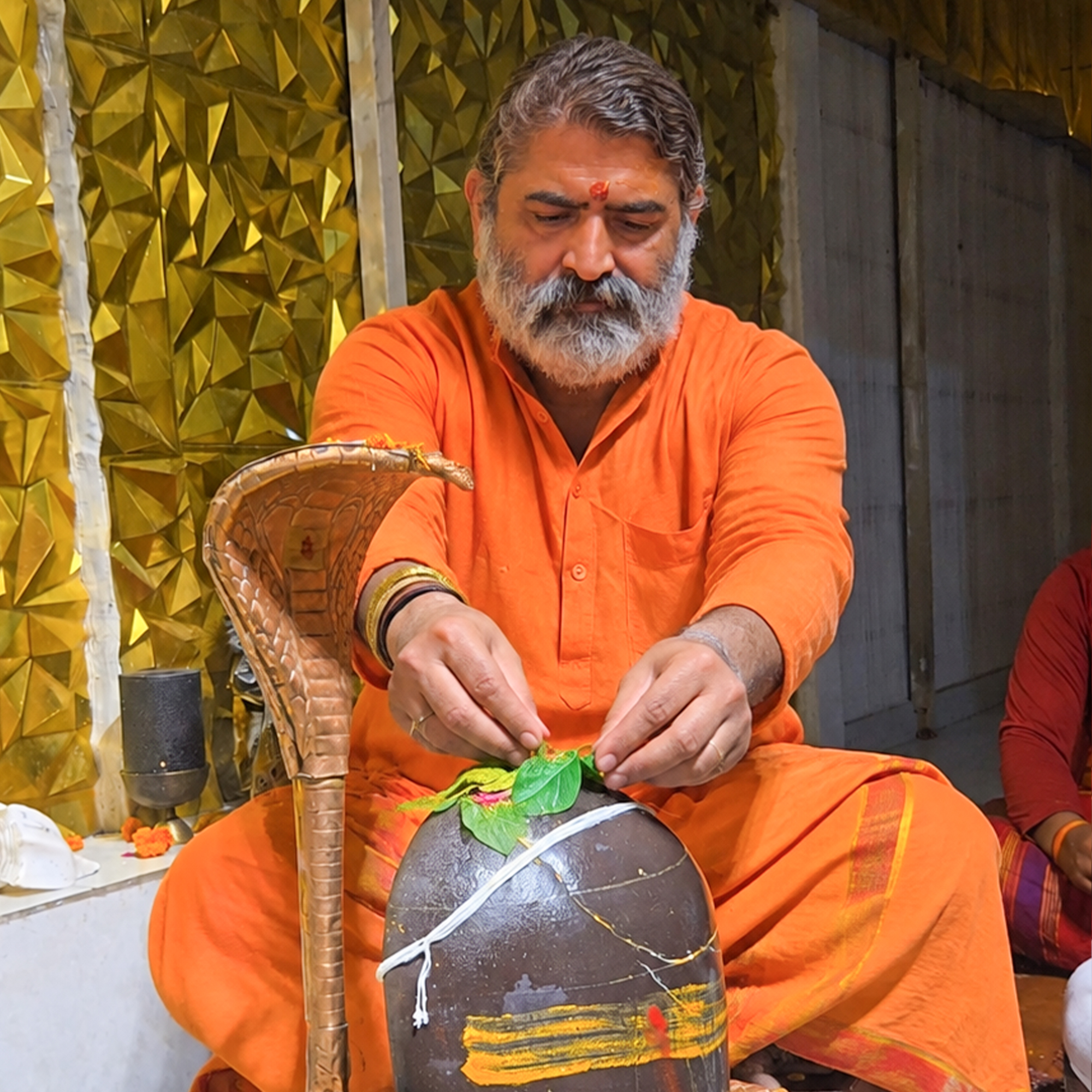 Swami Sehajanand Saraswati Ji